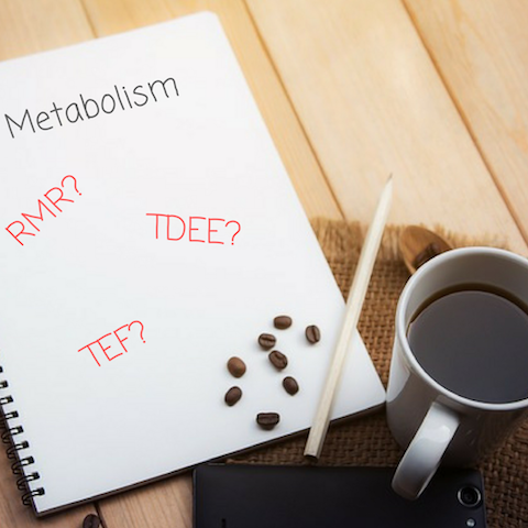 What is Metabolism? 